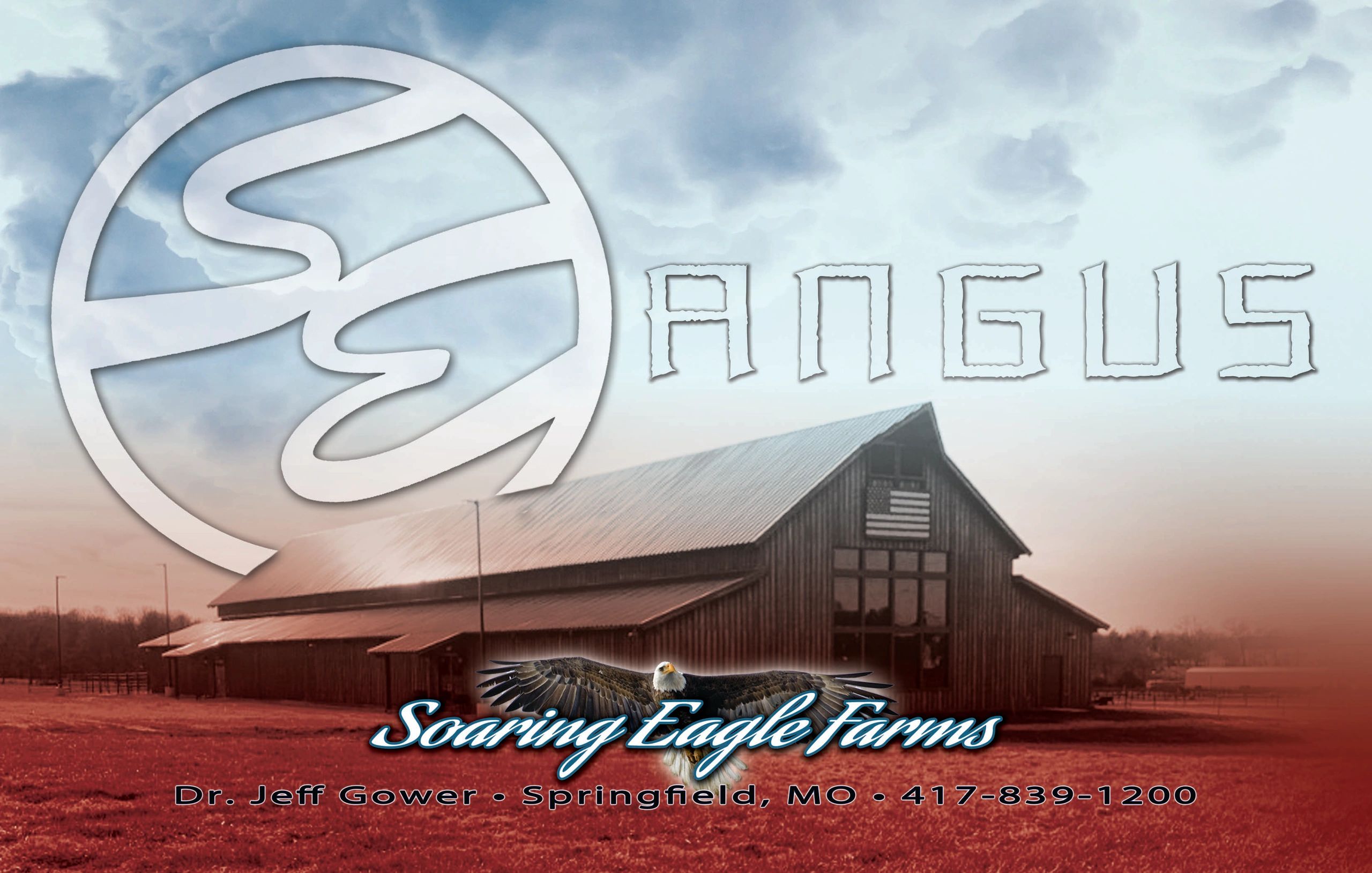 Soaring Eagle Farms Angus
